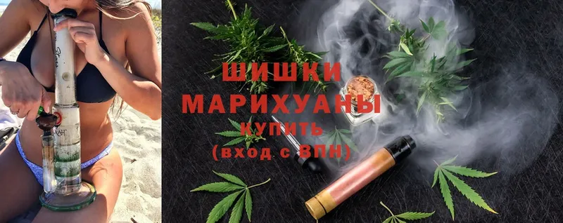 Конопля OG Kush  цена   Красный Кут 